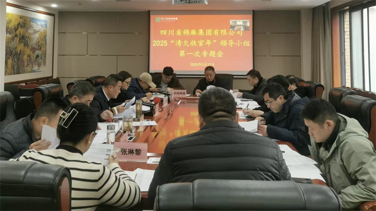 集團(tuán)公司召開2025“清欠收官年”領(lǐng)導(dǎo)小組第一次專題會(huì)